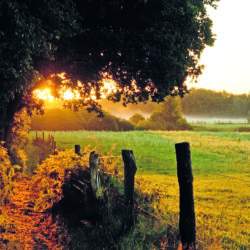 Duvenstedter Brook in der Abendsonne