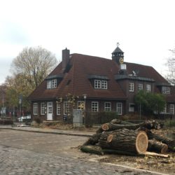 Baumfällung Saseler Marktplatz