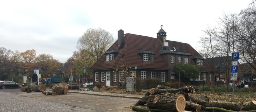 Baumfällung Saseler Marktplatz