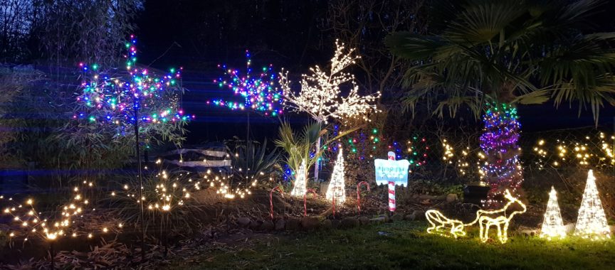 Beleuchteter Garten zu Weihnachten