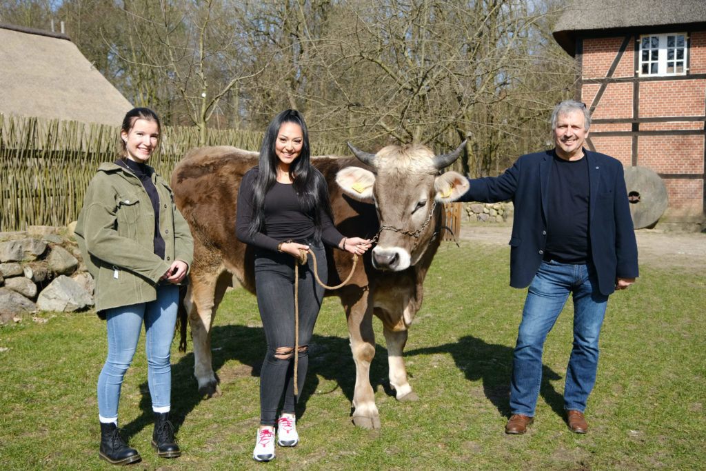 Ochse Goofy im Museumsdorf