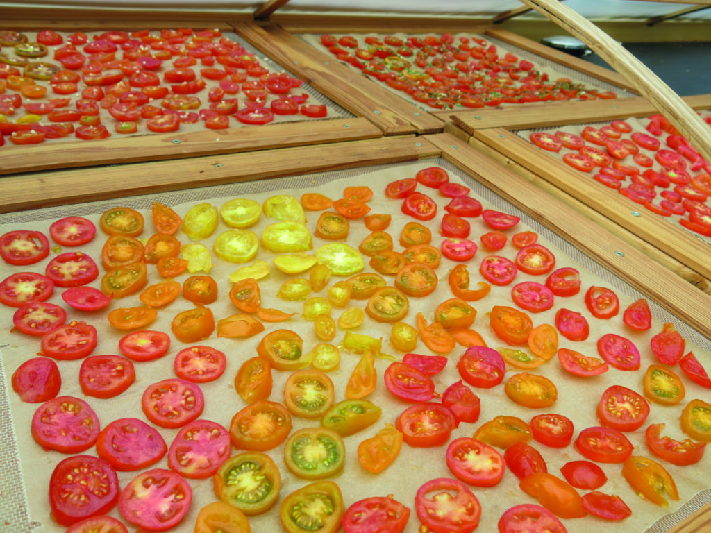 Tomaten trocknen auf Gitter