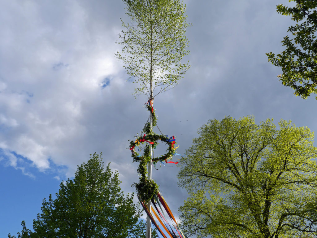 Maibaum Museumsdorf Volksdorf