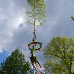 Maibaum Museumsdorf Volksdorf