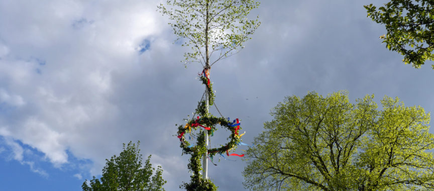 Maibaum Museumsdorf Volksdorf