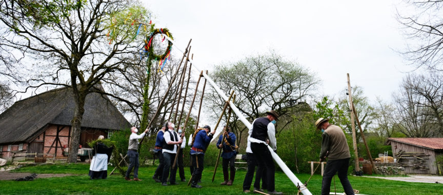 Der Maibaum im Museumsdorf Volksdorf wird aufgestellt