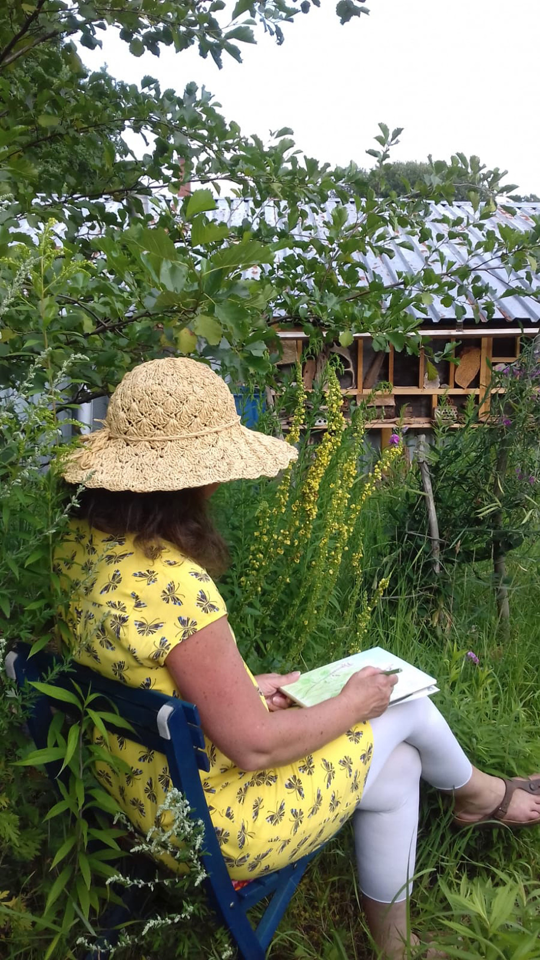 Tag der Familien im Verein-Tiny-Farming Bergstedt