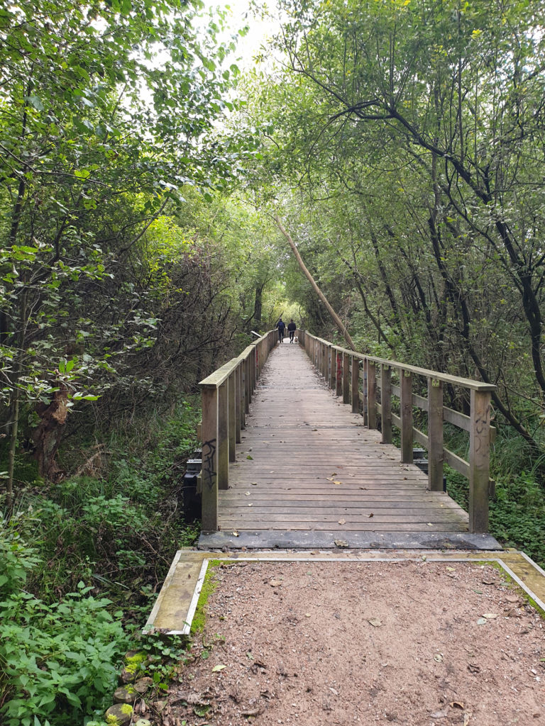 Brücke über das Stellmoor 2