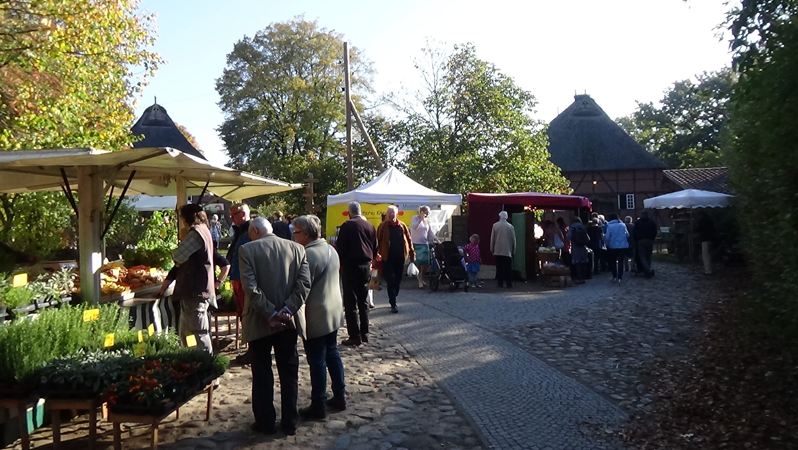 Bauern- und Pflanzenmarkt