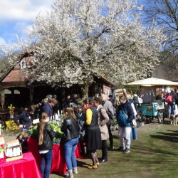 Bauernmarkt im Museumsdorf