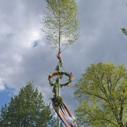 Treff unterm Maibaum