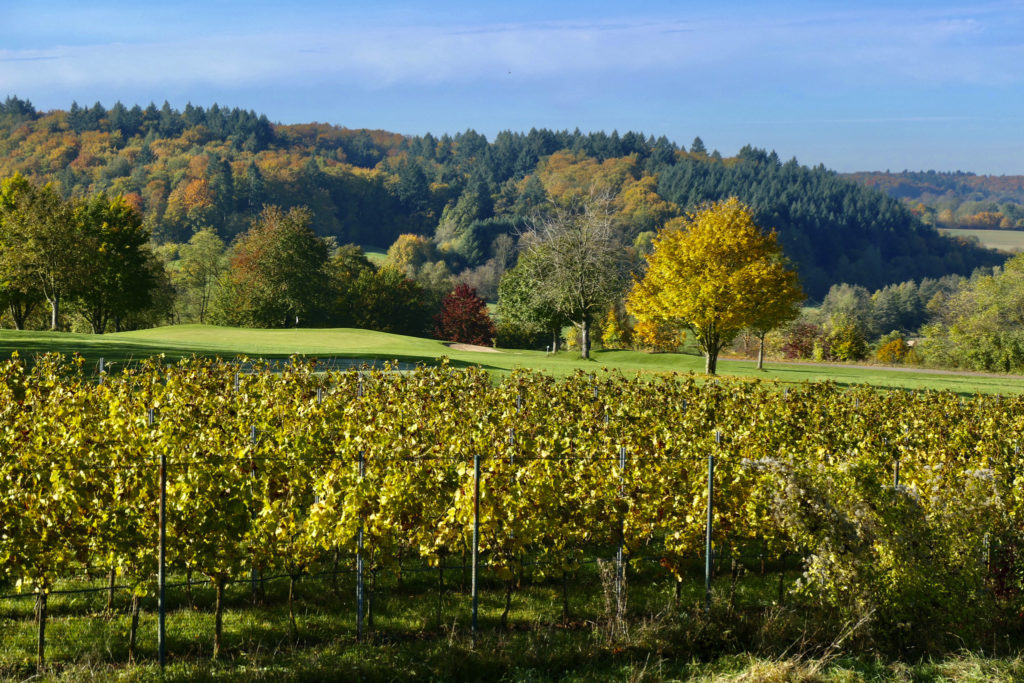 Golf in der Region Rhein-Necker. Heitlinger Hof