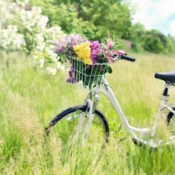 Wie geht Bio? Fahrradtour auf dem Gut Wulfsdorf